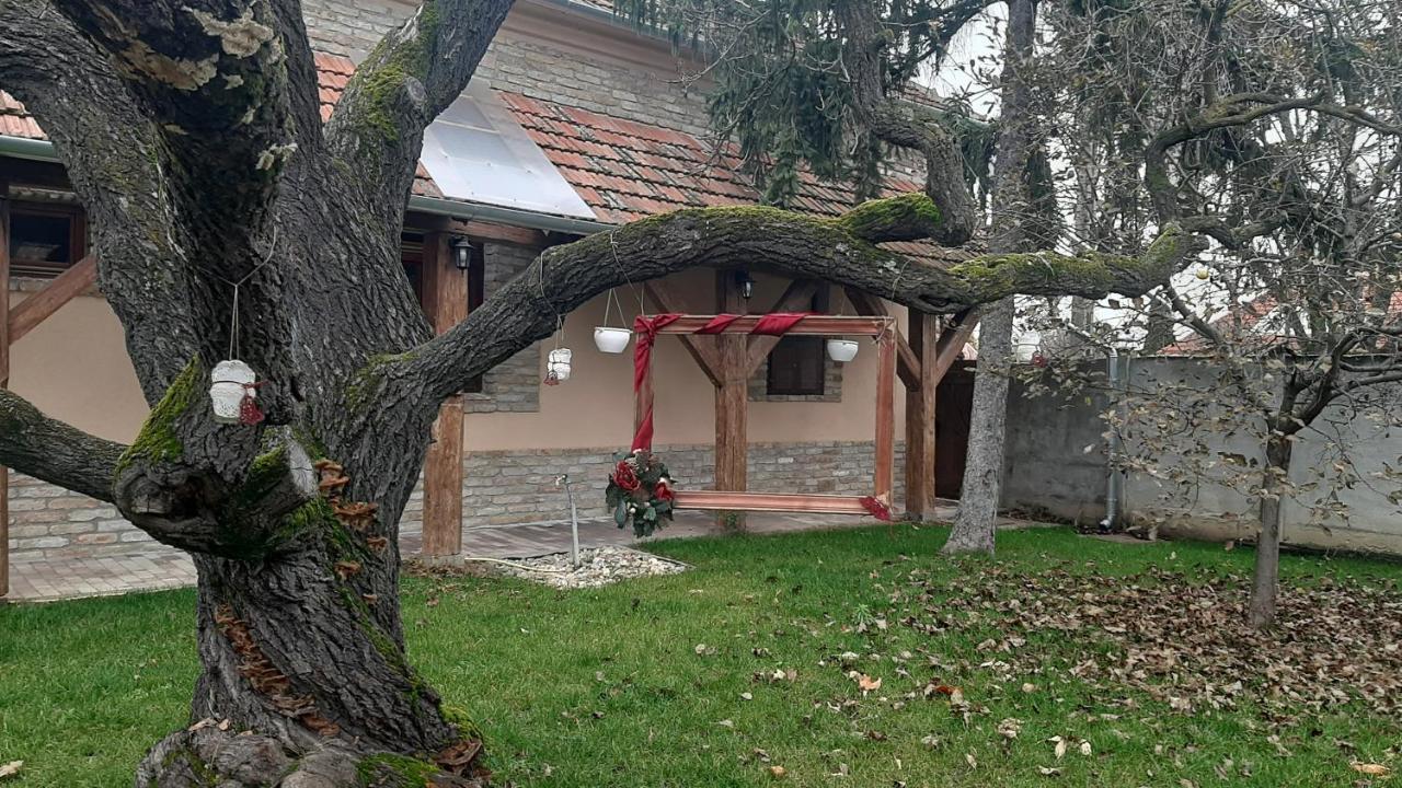 Villa Rusztika Gyula Εξωτερικό φωτογραφία